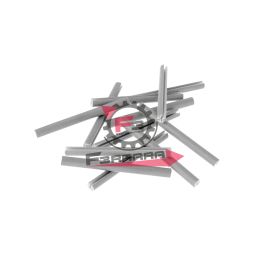 546060090 CATARIFRANGENTI RAGGI BICI (CONF.10)